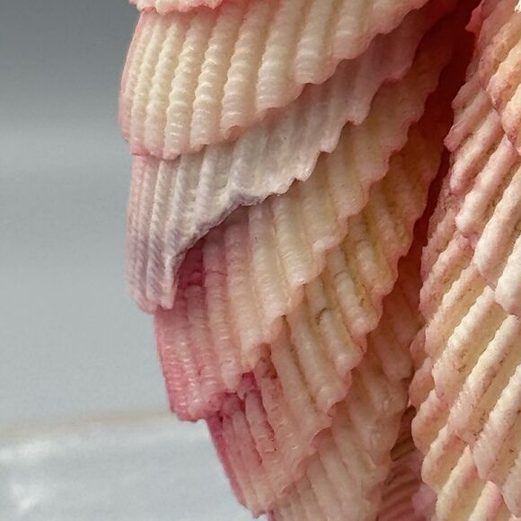 Vtg Handmade Seashell Art Figurine Bride Doll Folk Art Pink Nautical Kitschy - Picture 6 of 10